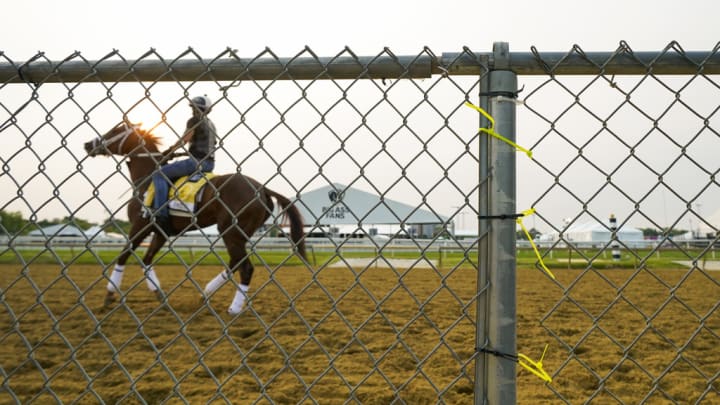 Coffeewithchris odds, history and predictions for the 2023 Preakness Stakes.