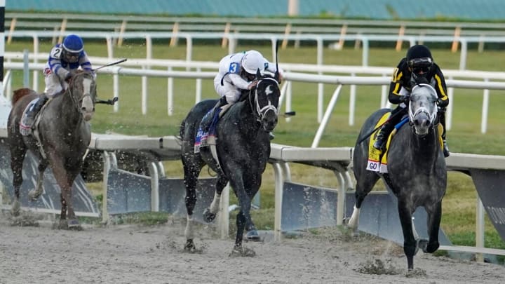 Horse Racing Picks from Gulfstream on Friday, March 3. 