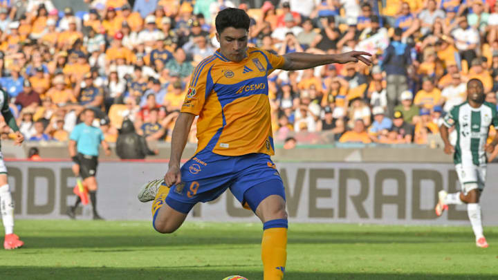 Nicolás Ibáñez