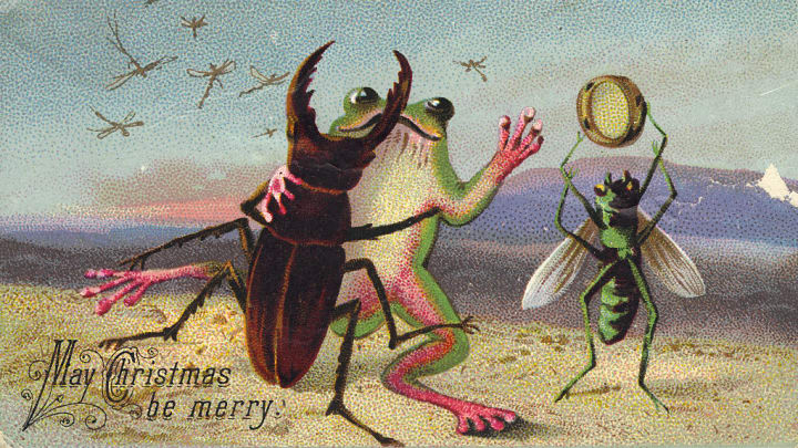 bugs dancing with a frog