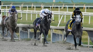 Horse Racing Picks from Gulfstream on Sunday, Feb 5. 
