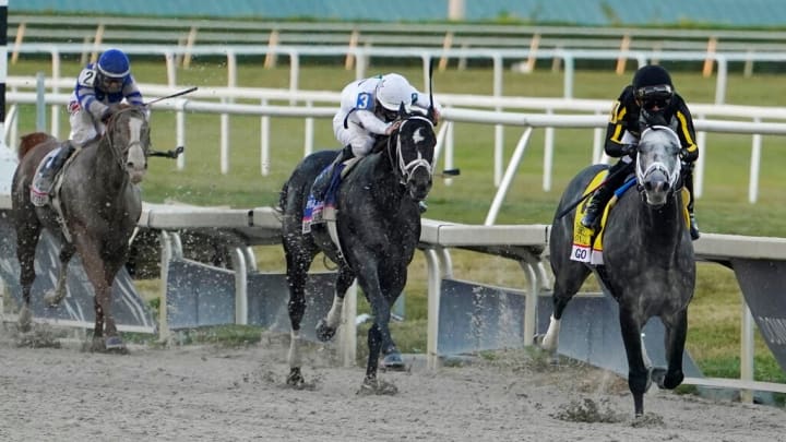 Horse Racing Picks from Gulfstream on Wednesday, March 8. / Horse Racing Picks from Gulfstream on Wednesday, March 8. /