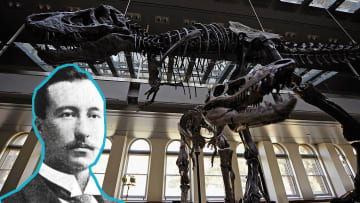 Barnum Brown changed paleontology and pop culture forever by discovering Tyrannosaurus rex.