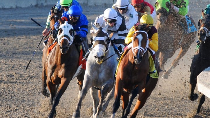 Kentucky Derby prep races at Fair Grounds 2023 / Risen Star Stakes. Kentucky Derby prep races at Fair Grounds 2023 / Risen Star Stakes.