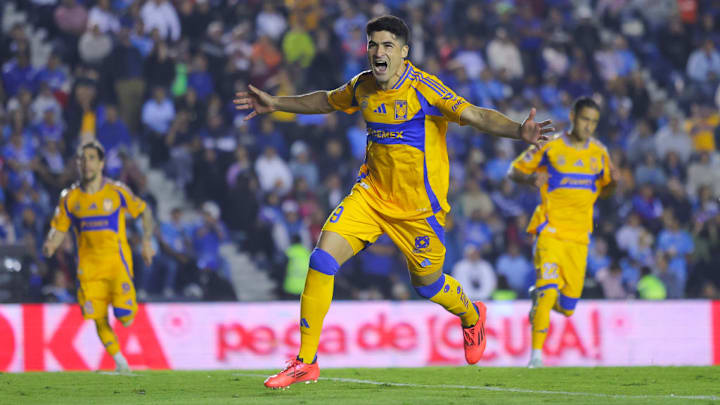 Nicolas Ibañez