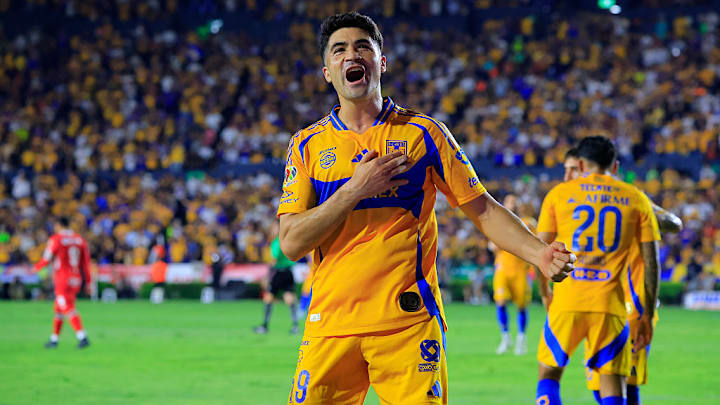 Nicolas Ibañez