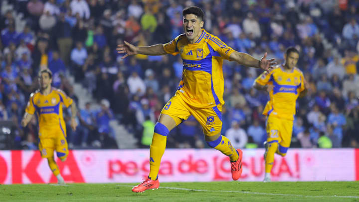 Nicolas Ibañez