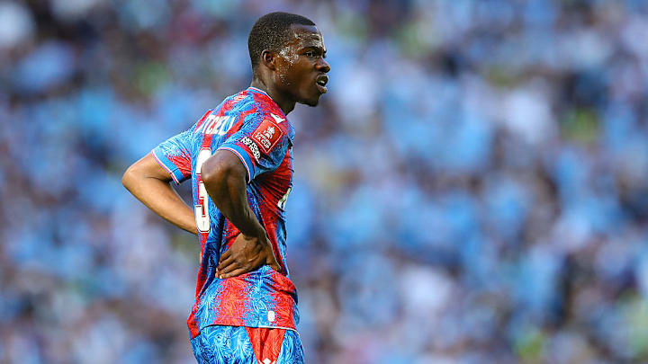 Crystal Palace v Manchester City - Emirates FA Cup Final
