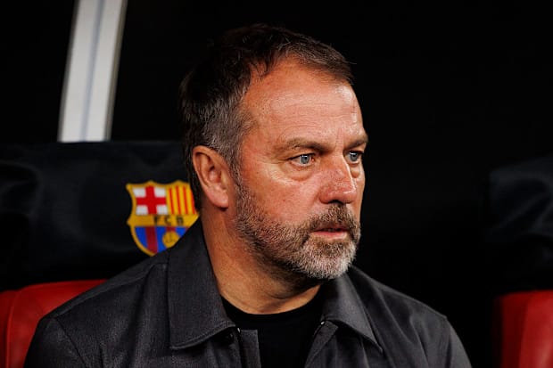 ฮันซี่ ฟลิค