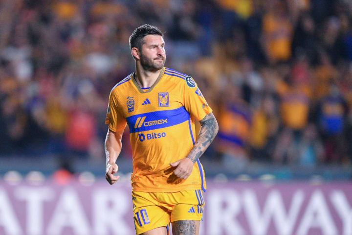 Andre Pierre Gignac, seorang fotografer