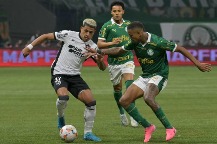 FBL-LIBERTADORES-PALMEIRAS-BOTAFOGO