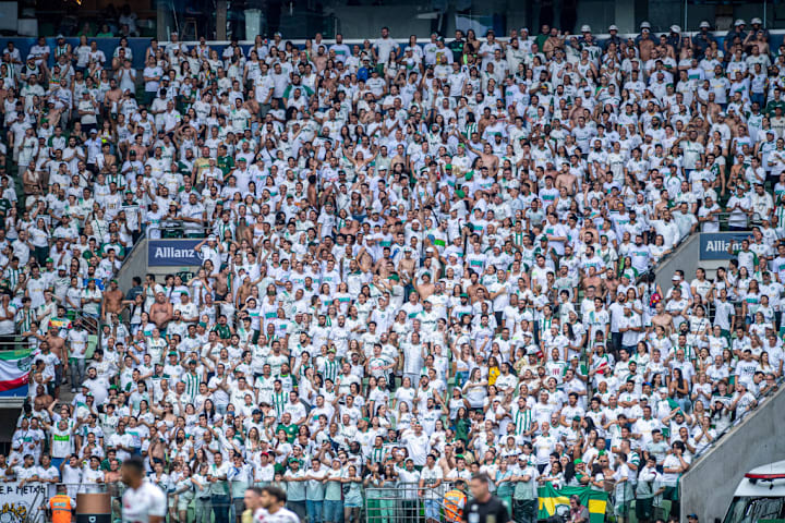 Palmeiras v Fluminense - Brasileirao 2024