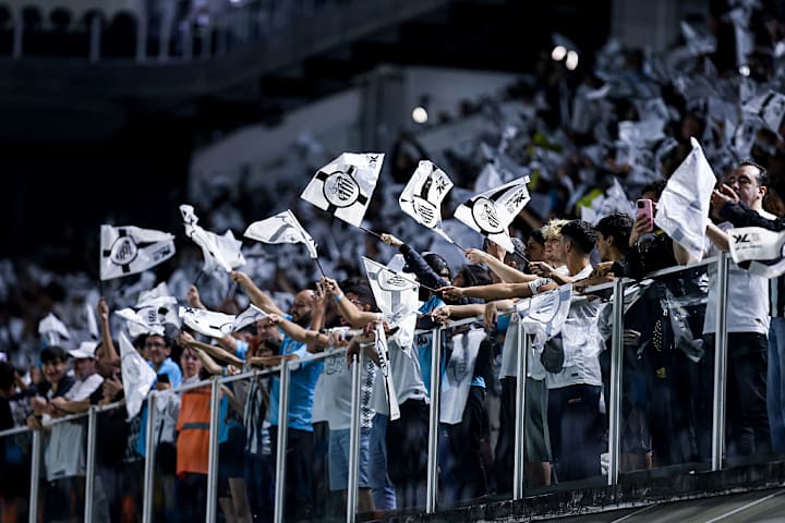 Santos v Flamengo - Brasileirao 2025