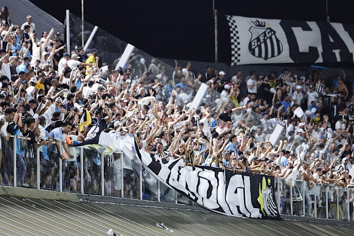 Santos v Palmeiras - Brasileirao 2025