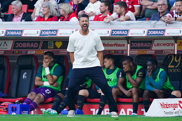 Sandro Wagner
