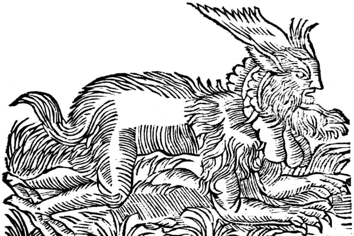 Lycanthropy: forest demon captured in Germany in 1531 (1669).
