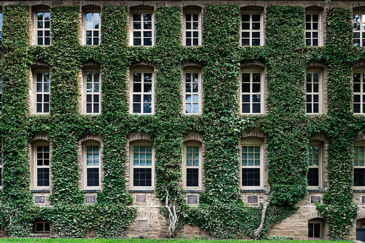 building exterior showing three rows of windows with verdant ivy filling the spaces between them