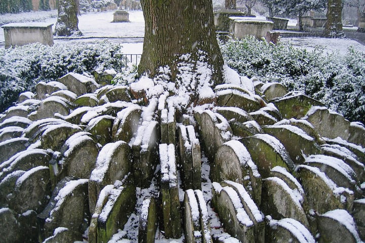 Circular arrangements of headstones around a tree, dusted with snow