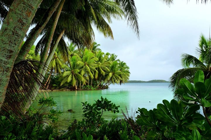 Palms drape over clear water at Strawn Island, one of more than 50 islets at Palmyra Atoll National Wildlife Refuge.