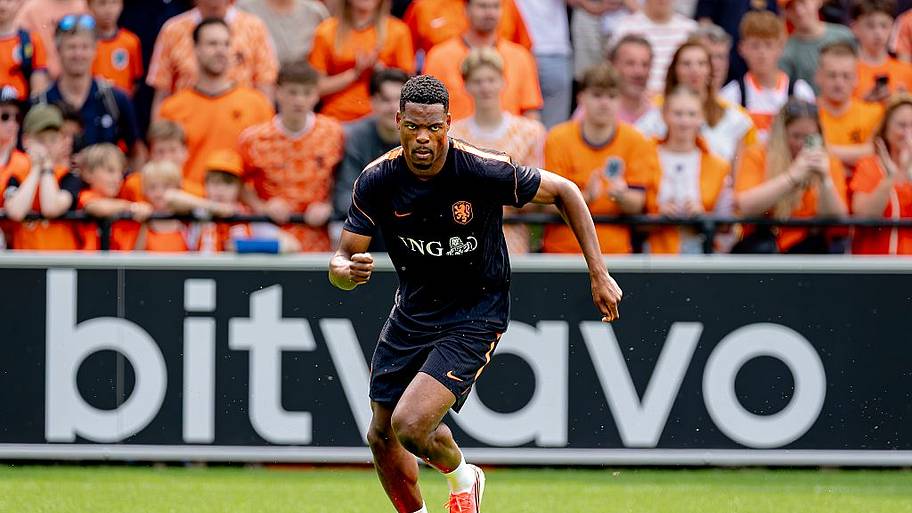 Denzel Dumfries