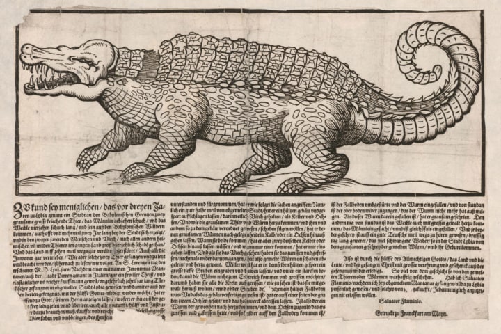 Popular Print With Representation Of A Crocodile