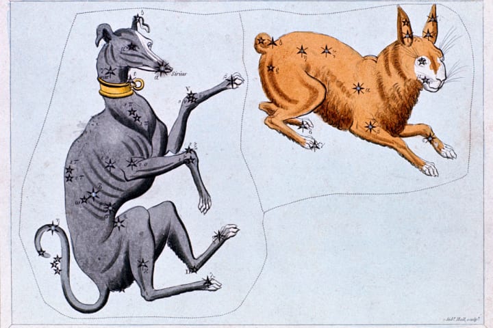 The constellations of Canis Major and Lepus.