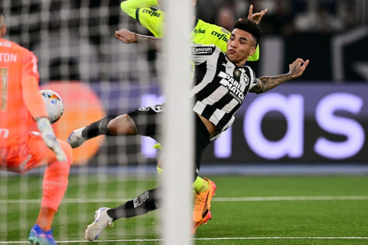 FBL-LIBERTADORES-BOTAFOGO-PALMEIRAS