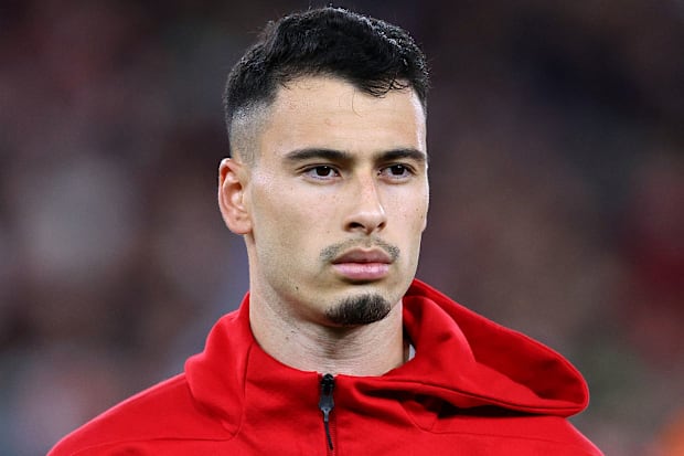 กาเบรียล มาร์ตินเนลลี่