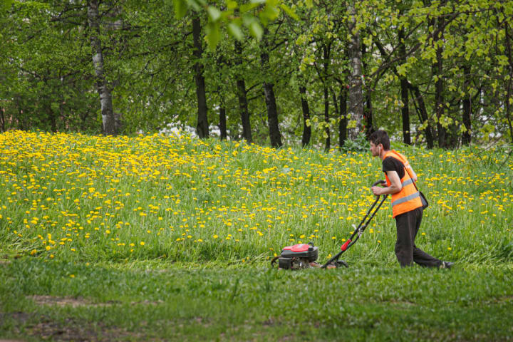 A man mows the grass on a vacant lot