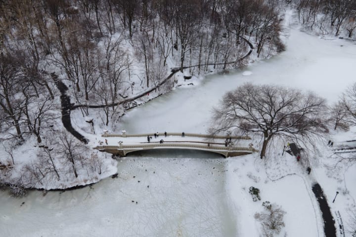 Aerial view of Central Park in winter.