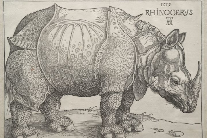 A 16th-century engraving of a rhinoceros.