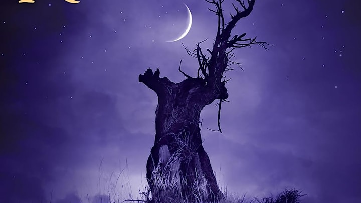 The Narrow Road Between Desires by Patrick Rothfuss