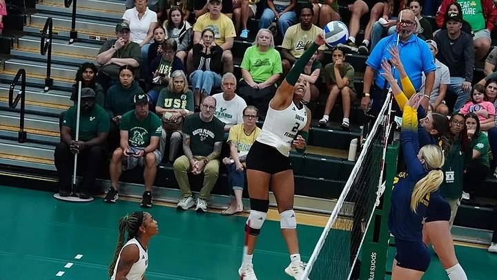 USF Volleyball