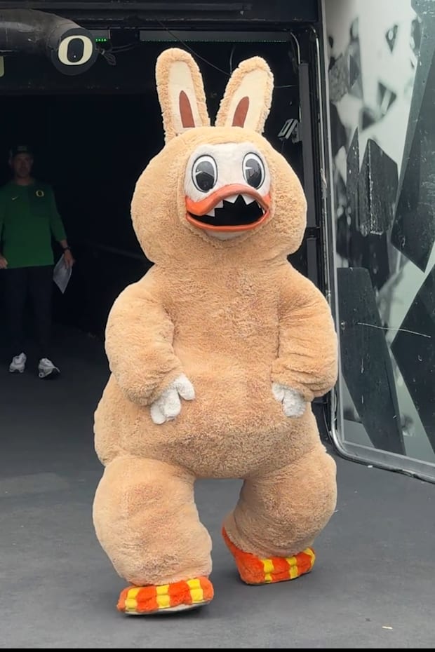 Oregon ducks mascot labubu dan lanning head costume best college mascot autzen stadium eugene oregon oklahoma stadium