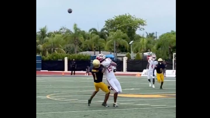 Chris Henry Jr. made a ridiculous catch. Chris Henry Jr. made a ridiculous catch.