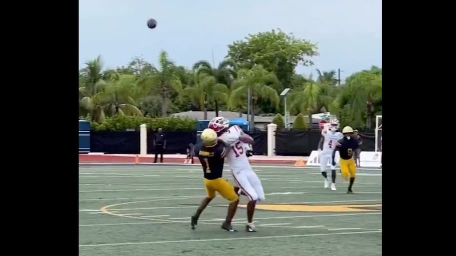 Chris Henry Jr. made a ridiculous catch. | Screenshot via @HayesFawcett3.