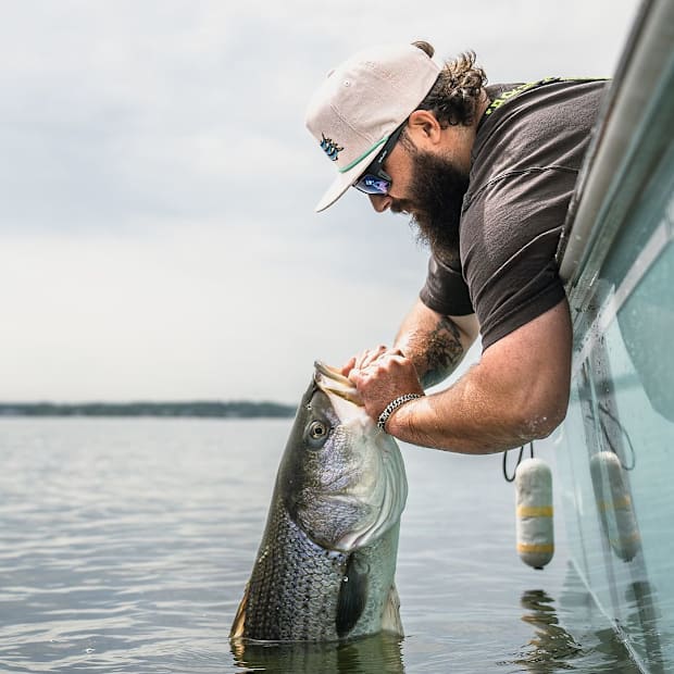 Best polarized glasses for fly fishing store