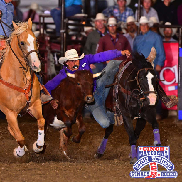 A cowboy getting off his horse and onto a steer in the steer wrestling competition.