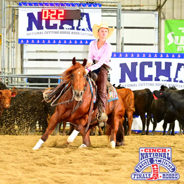 A cowgirl on a red horse cutting a cow.