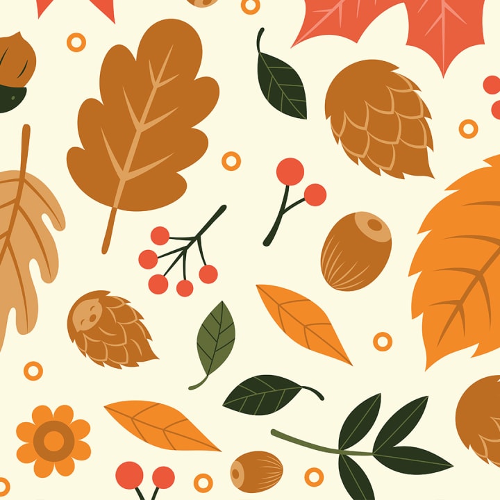 Autumn hidden image puzzle.