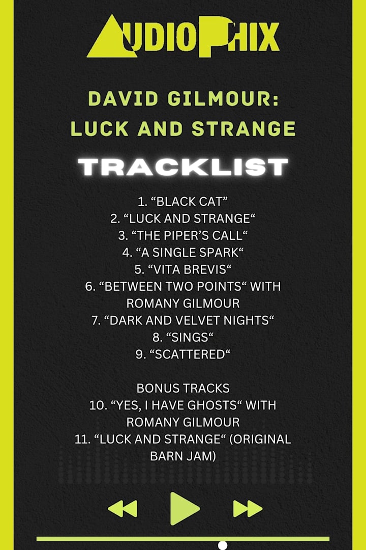 David Gilmour Luck And Strange tracklist