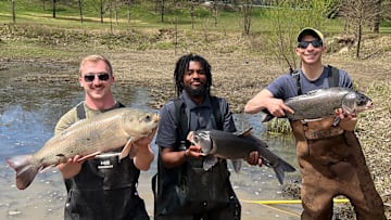 About a dozen Kentucky State University Aquaculture Program students volunteered to remove and relocate hundreds of pounds of fish stranded by a flood in a pond on the grounds of Buffalo Trace Distillery in Frankfort. 