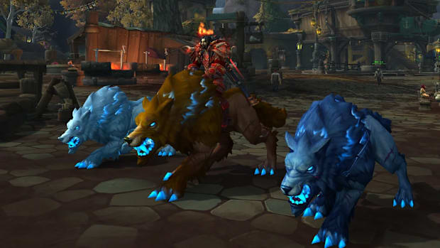 World of Warcraft beast mastery hunter.