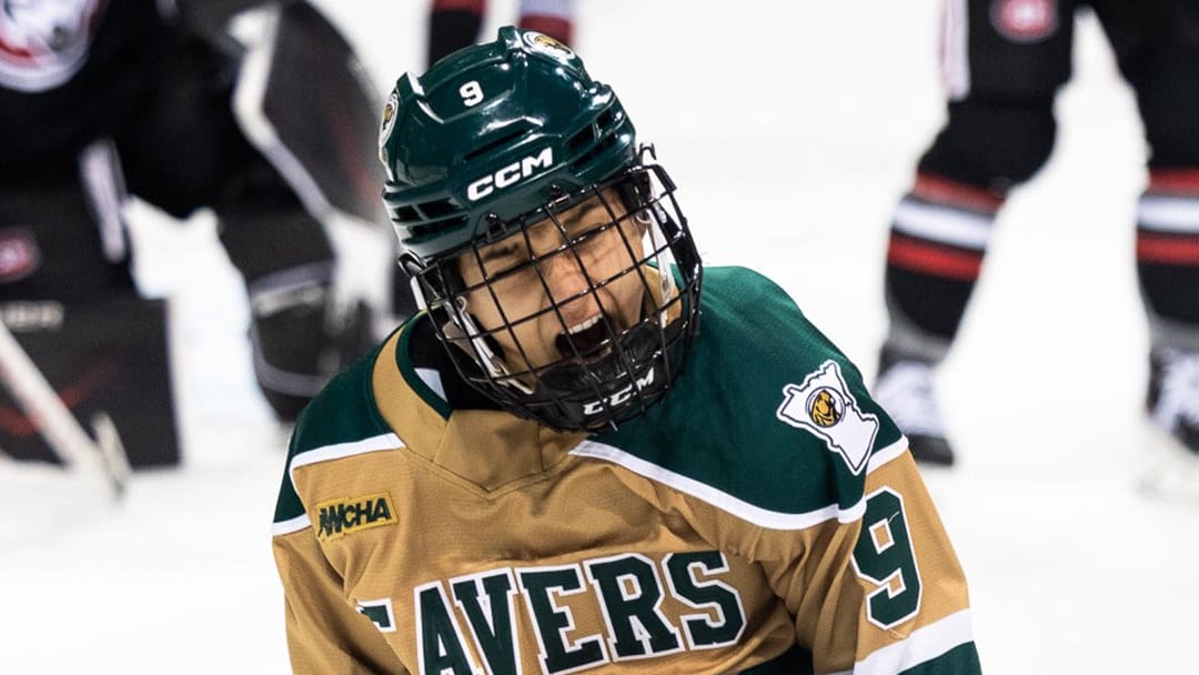 Bemidji State forward Jaksen Panzer celebrates a goal against St. Cloud State in October 2025. 