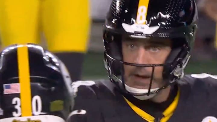 Rodgers (#8) was not pleased with Warren (#30) after a Steelers offensive play gone wrong. 