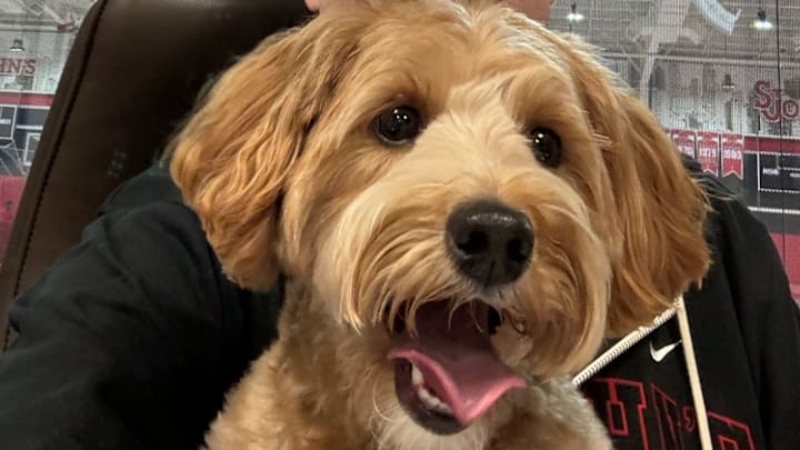 Gigi Pitino did not have a good showing at St. John's practice. Gigi Pitino did not have a good showing at St. John's practice.