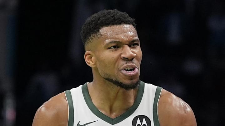 Milwaukee Bucks forward Giannis Antetokounmpo (34) reacts to a call during the second half against the Charlotte Hornets at Spectrum Center on November 16, 2024.