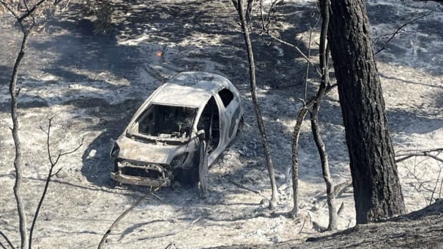 A burned car in the middle of the woods