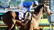 Sovereignty prepares for the 151st Kentucky Derby at Churchill Downs.