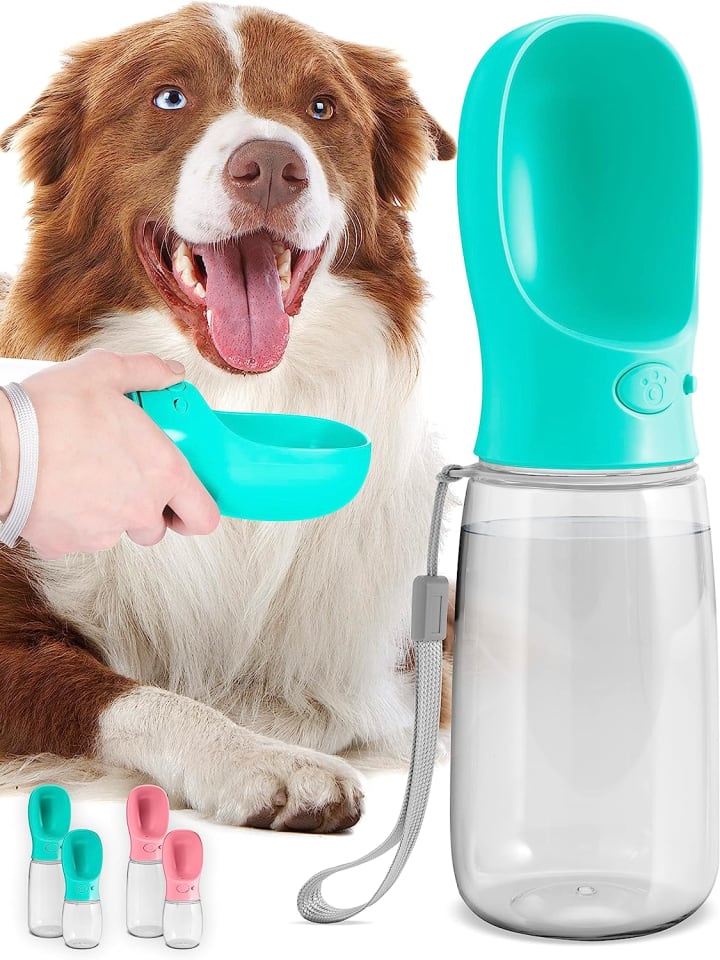 MalsiPree dog water bottle.